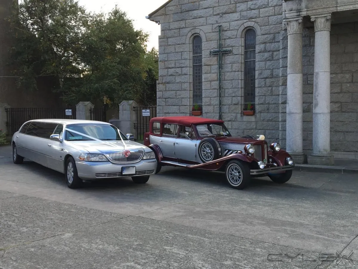 Business 10 image KPCD LIMOS DUBLIN