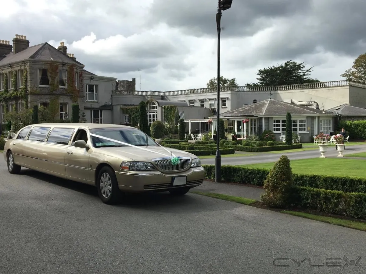 Business 13 image KPCD LIMOS DUBLIN