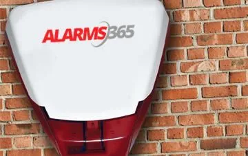 Business 1 image ALARMS 365