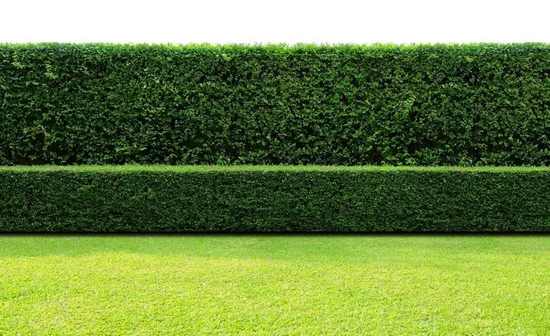 Business 4 image RIGHT OF LIGHT SURVEYORS DUBLIN