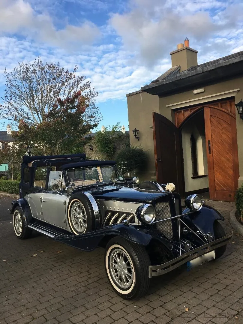 Business 3 image KPCD LIMOS DUBLIN