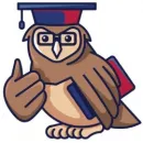 ROOF WISE DUBLIN Roofing Contractors in Dublin IE


