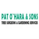 PAT O'HARA & SONS TREE SURGEONS Tree Work & Forestry Services in Dublin IE


