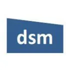 DSM ENGINEERING SERVICES